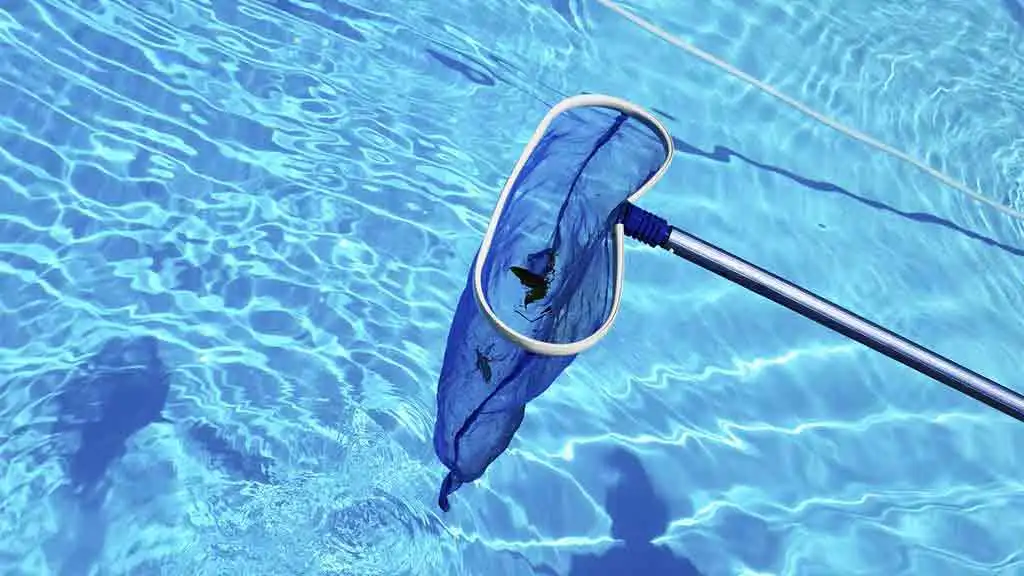 Pool technician vacuuming debris from backyard pool before a weekend gathering in Dallas