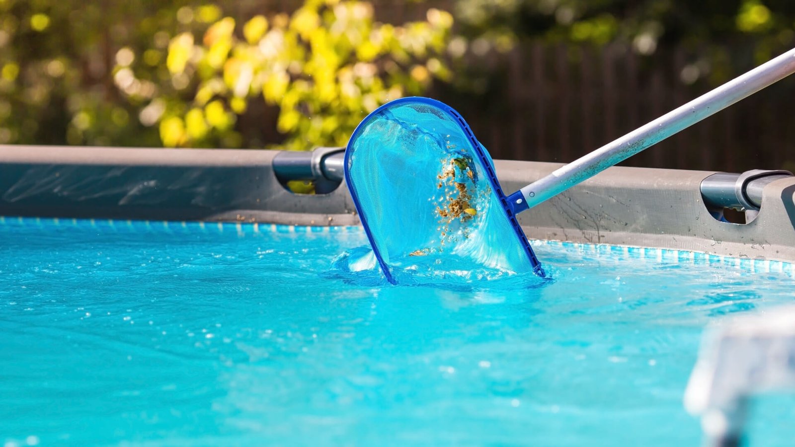 Homeowner reviewing new tile and coping options beside an aging backyard pool