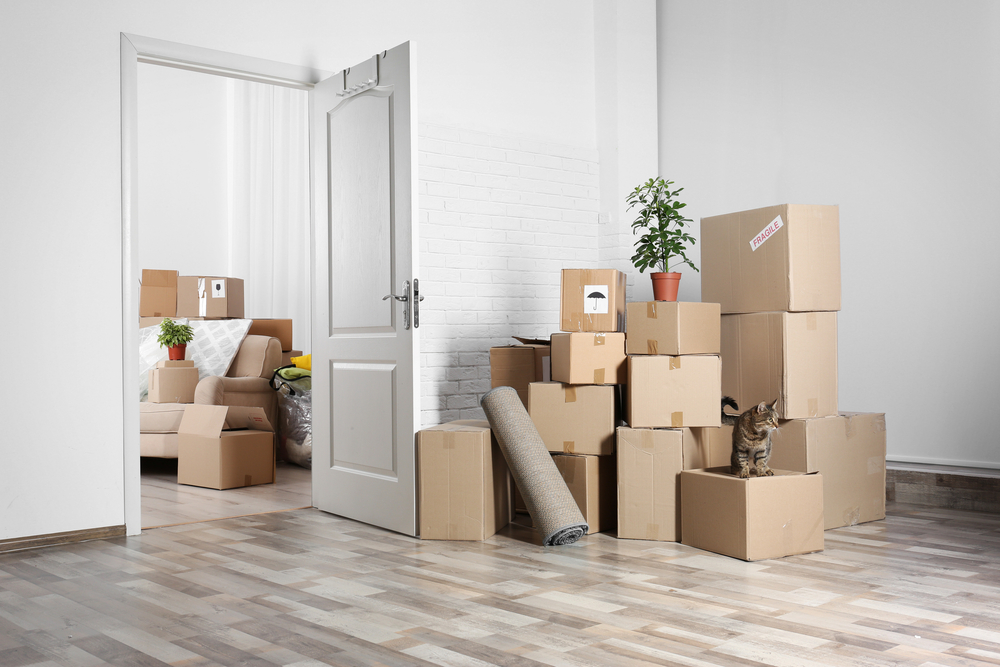 Experienced cleaner preparing short-term rental bedroom and bathroom for incoming guests